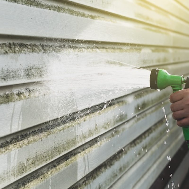 Cleaning algae and mold from vinyl siding of house with pressure spray jet. Home repair, maintenance and exterior cleaning concept.